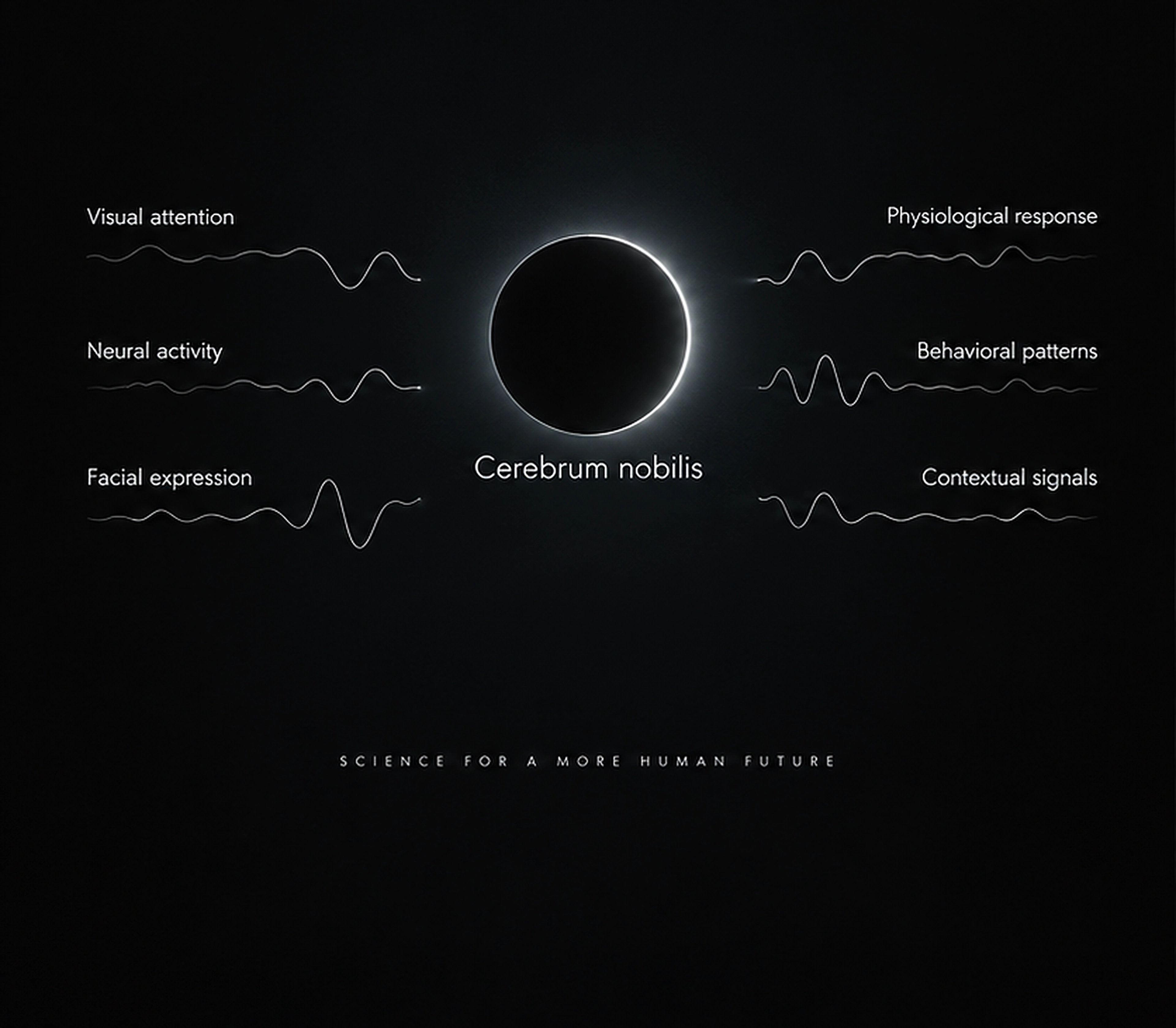 CEREBRUM NOBILIS organizing multiple inputs into attention, emotion and cognition.