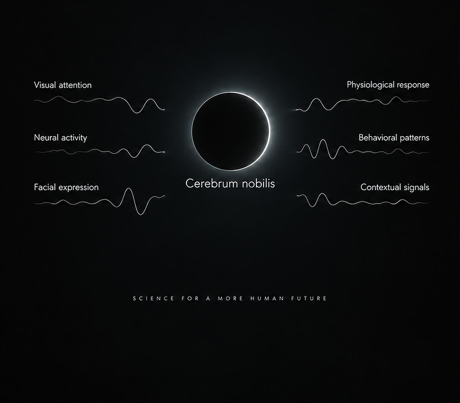 Cerebrum nobilis organizing multiple inputs into attention, emotion and cognition.