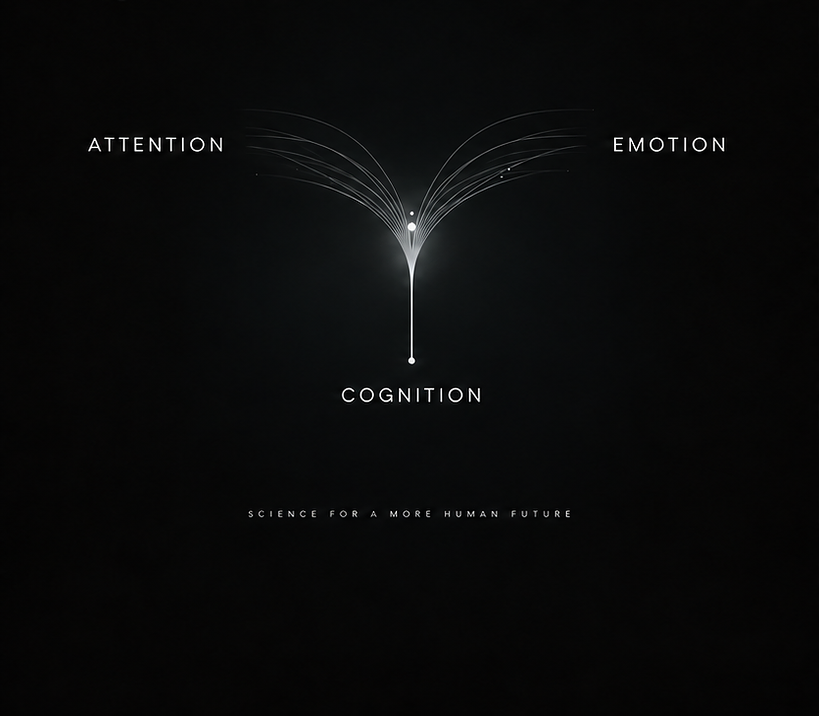 Attention, emotion and cognition converging into a human research question.